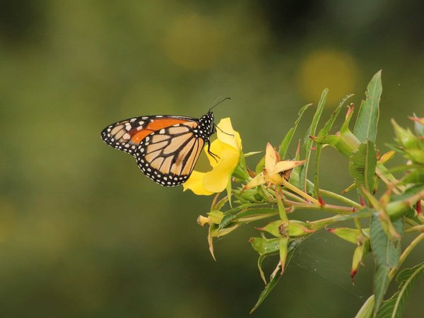 Quelles sont les étapes clés pour vendre un bien immobilier en indivision?